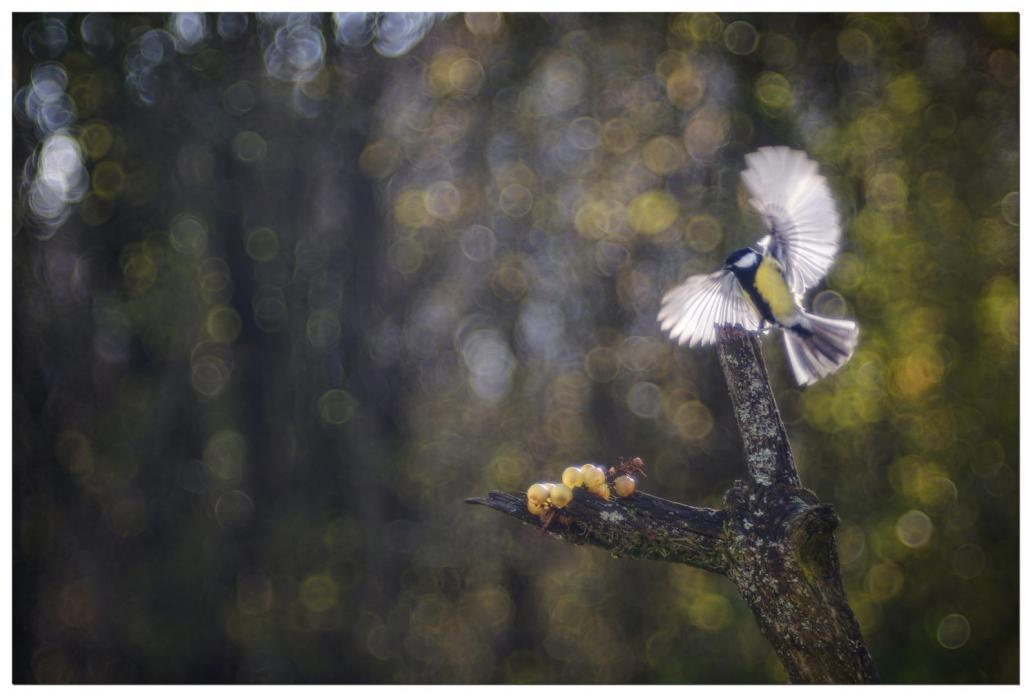 An unexpected angel strengthens the mystery bubbles bokeh