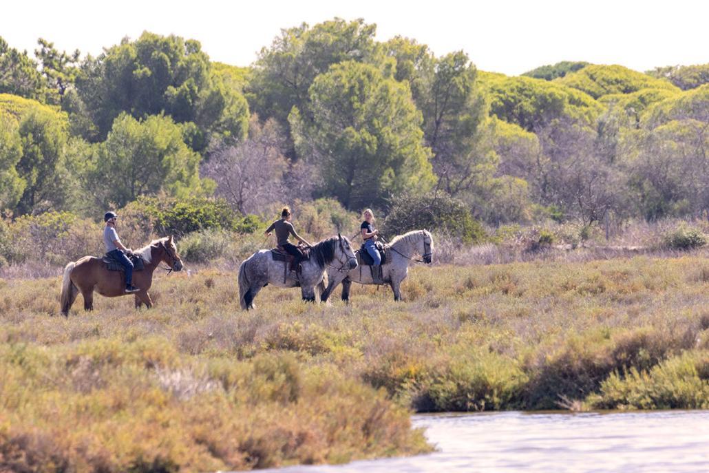 balade en Camargue à cheval